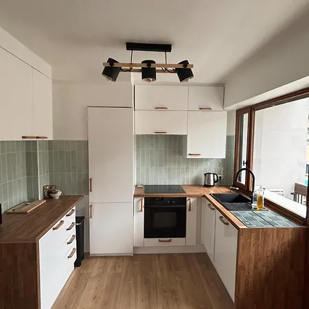 Apartament Vieille A 50 M - Cosy & Renove Annecy